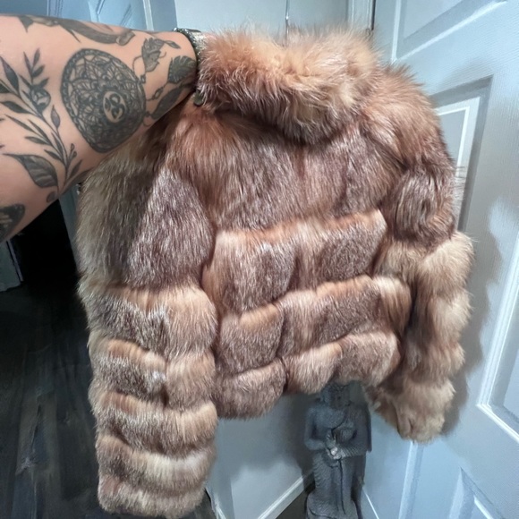 Cropped Fox - Picture 2 of 3